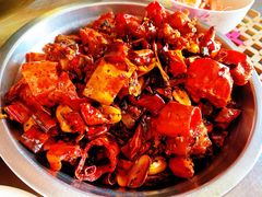 -红辣椒·川菜·火锅(张杨路店)