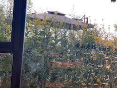 -黄山老妈·土菜(碧桂园店)