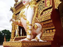 -西双版纳勐泐文化旅游区