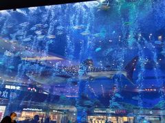 -成都浩海立方海洋公园