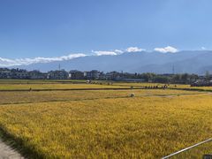 -喜林苑·稻田餐厅(品相府店)