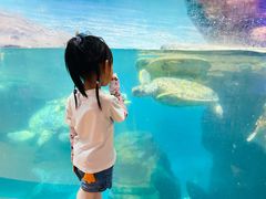 -海合安武汉极地海洋公园