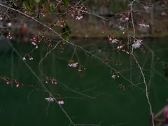 -溪口-滕头旅游景区