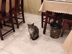大堂-焱焰鲜锅兔·佳味郑氏·自贡特色菜