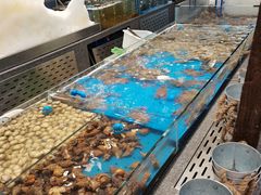 水产区-半岛听涛蒸汽海鲜自助(K11店)