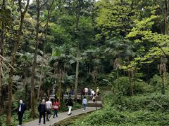 -凤栖山