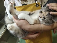 -藦茜花园宠物主题亲子互动体验馆(国顺东路店)