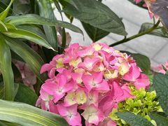 -方恒购物中心(望京小街店)