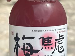 -桃源人家(东门店)