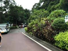 -金鸡山公园