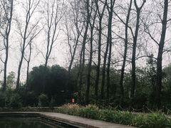 -溱湖国家湿地公园