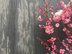 -宋宴(虎跑店)