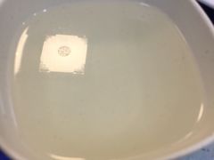 -东北饺子王(港澳广场购物中心店)