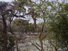 -汇龙潭