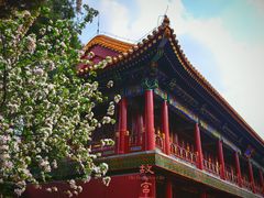-故宫博物院(故宫)