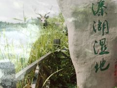 -溱湖国家湿地公园