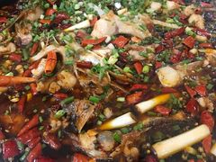 来风鱼-西木兔(大圆祥店)