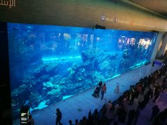 -迪拜水族馆及水下动物园