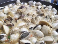 -顺德哥卜卜贝(旗舰店)