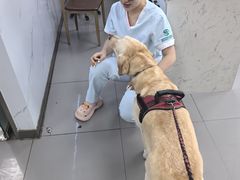 -瑞派宠物医院·24h·骨外科·皮肤科·全科宠物医疗转诊中心(沈阳浑南院)
