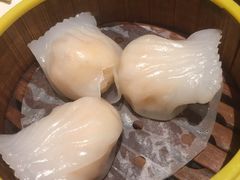 -金香匯晚茶(浑南店)