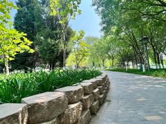 -大兴滨河森林公园