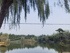 -渌洋湖湿地公园