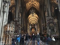 -斯蒂芬主教座堂(Stephansdom)