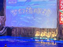 -华夏文旅海洋公园