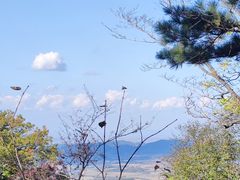 -香炉山国家森林公园