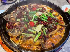 -老板恋上鱼(恒隆广场店)