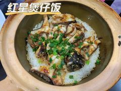 -红星光发煲仔饭(文海店)