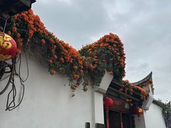 -三坊七巷历史文化街区