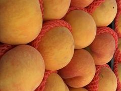 -西郊国际农产品交易中心