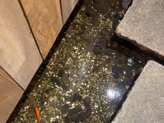 -邈墨茶馆(凤起路店)