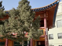 -西宁市东关清真大寺