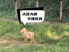 -贵州森林野生动物园