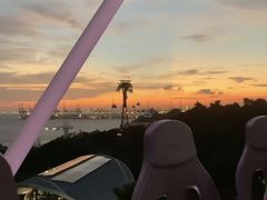 -圣淘沙天际线斜坡滑车