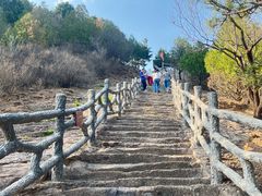 -磬锤峰森林公园