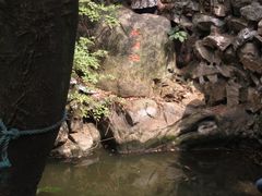 观月池-灵岩山风景区