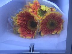 -蒲黄榆(地铁站)