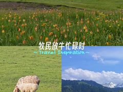 -新疆那拉提国家旅游度假区