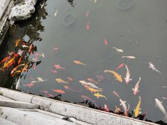 -梅园