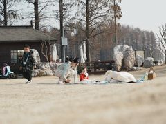 -东湖落雁景区