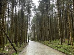 -石棉县孟获城