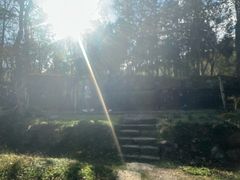 -唐崖土司城遗址