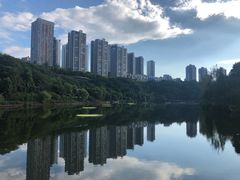 -重庆彩云湖湿地公园