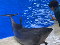 -石家庄极地海洋世界