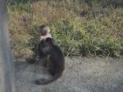 -杭州野生动物世界
