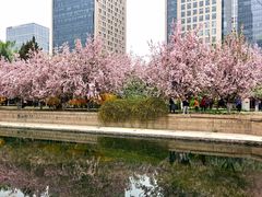 -元大都城垣遗址公园